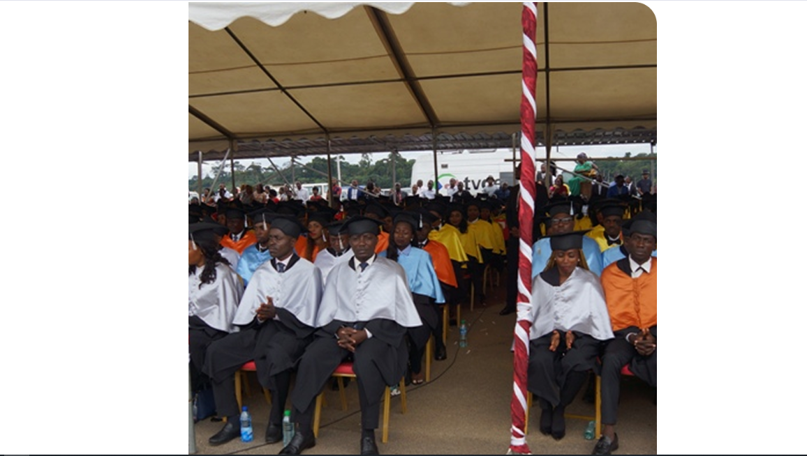 American Design Agency LLC agency's portfolio